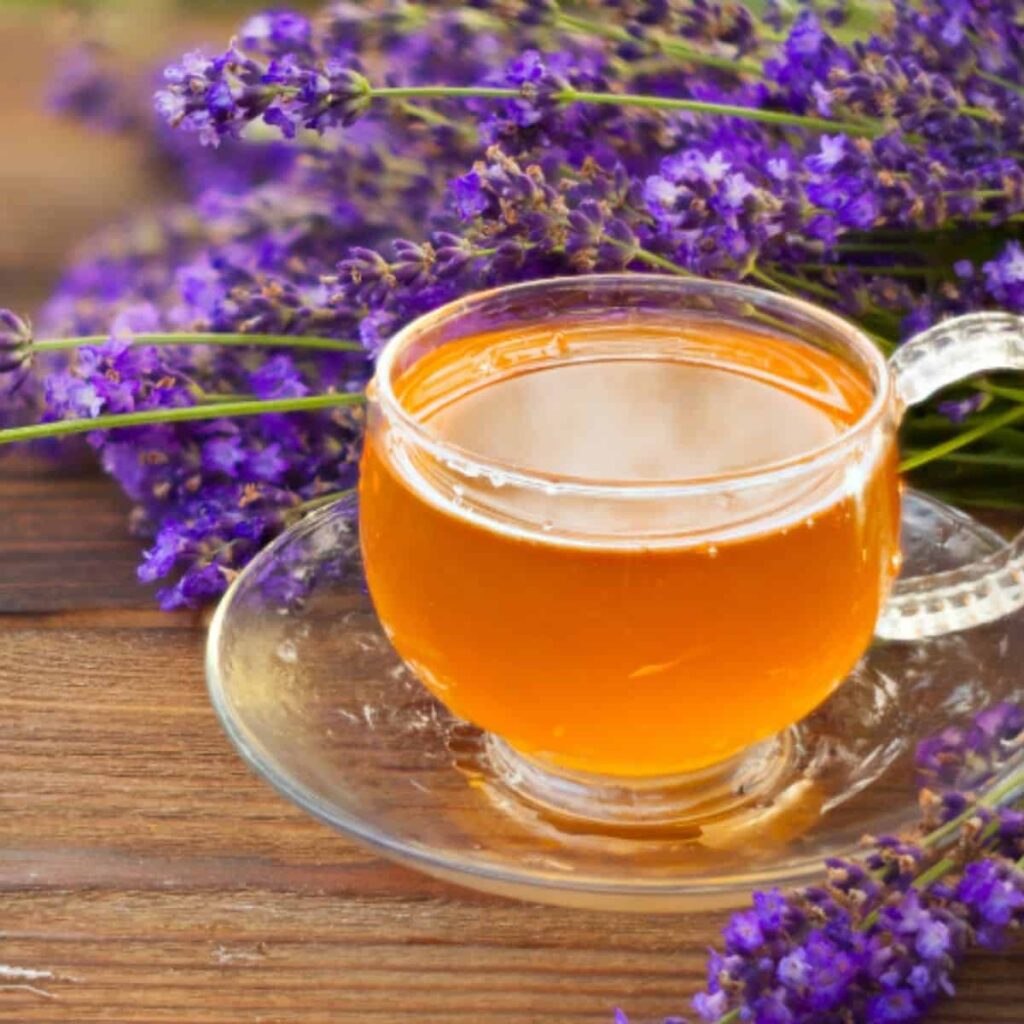 Cup of Herbal Lavender Tea 